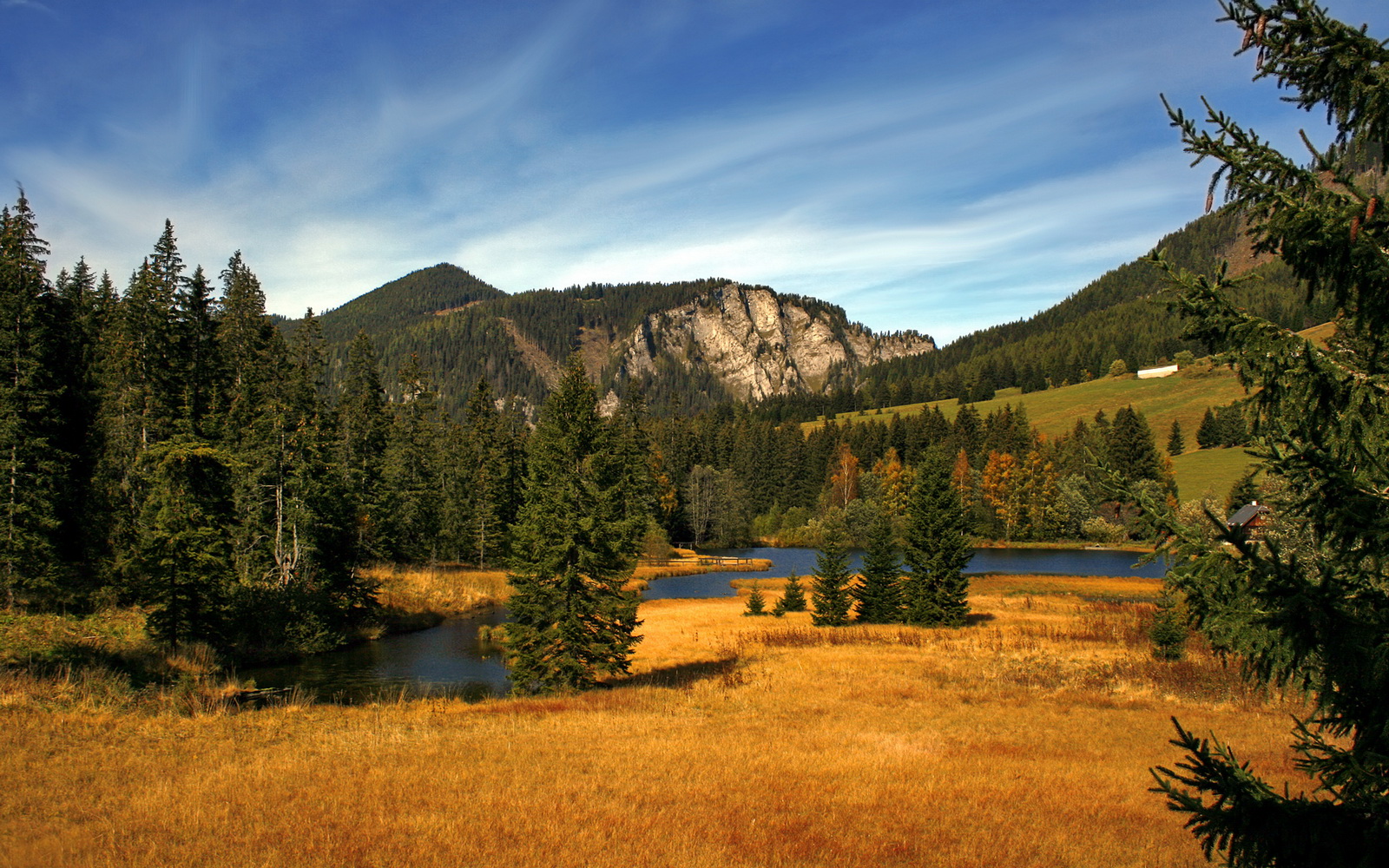 爱游戏官方-校园体育文化创新实践,校园体育文化创新实践研究