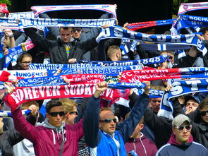 爱游戏游戏平台-球迷映像:在不同文化背景中爱足球的多样面貌,足球文化素材