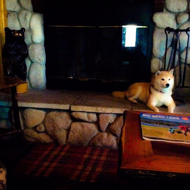 爱游戏平台-篮球运动员心理健康维护及干预措施探索,篮球心理技能训练计划