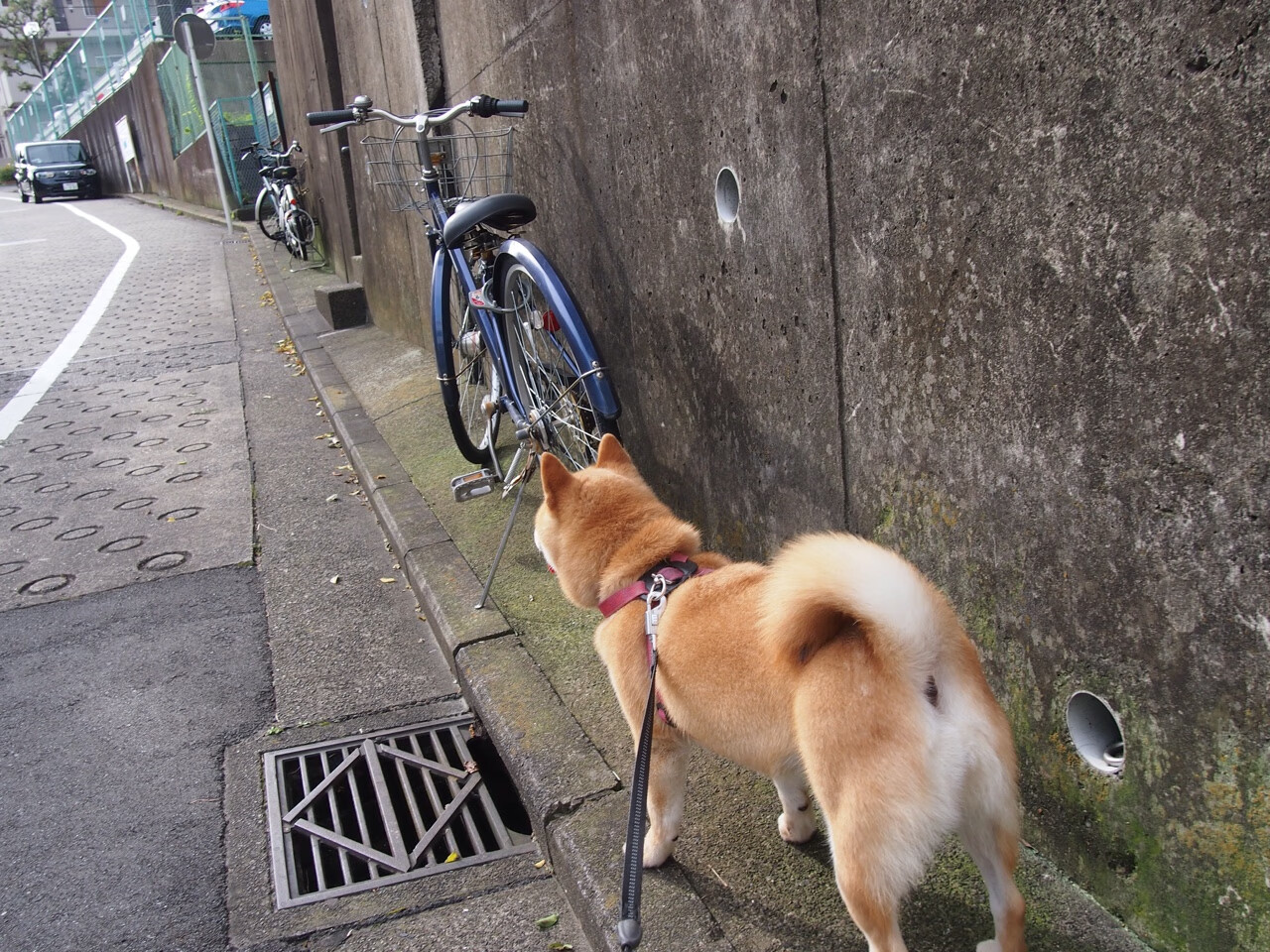 爱游戏娱乐平台-篮球运动员比赛心理调适及其干预措施,篮球心理训练方法