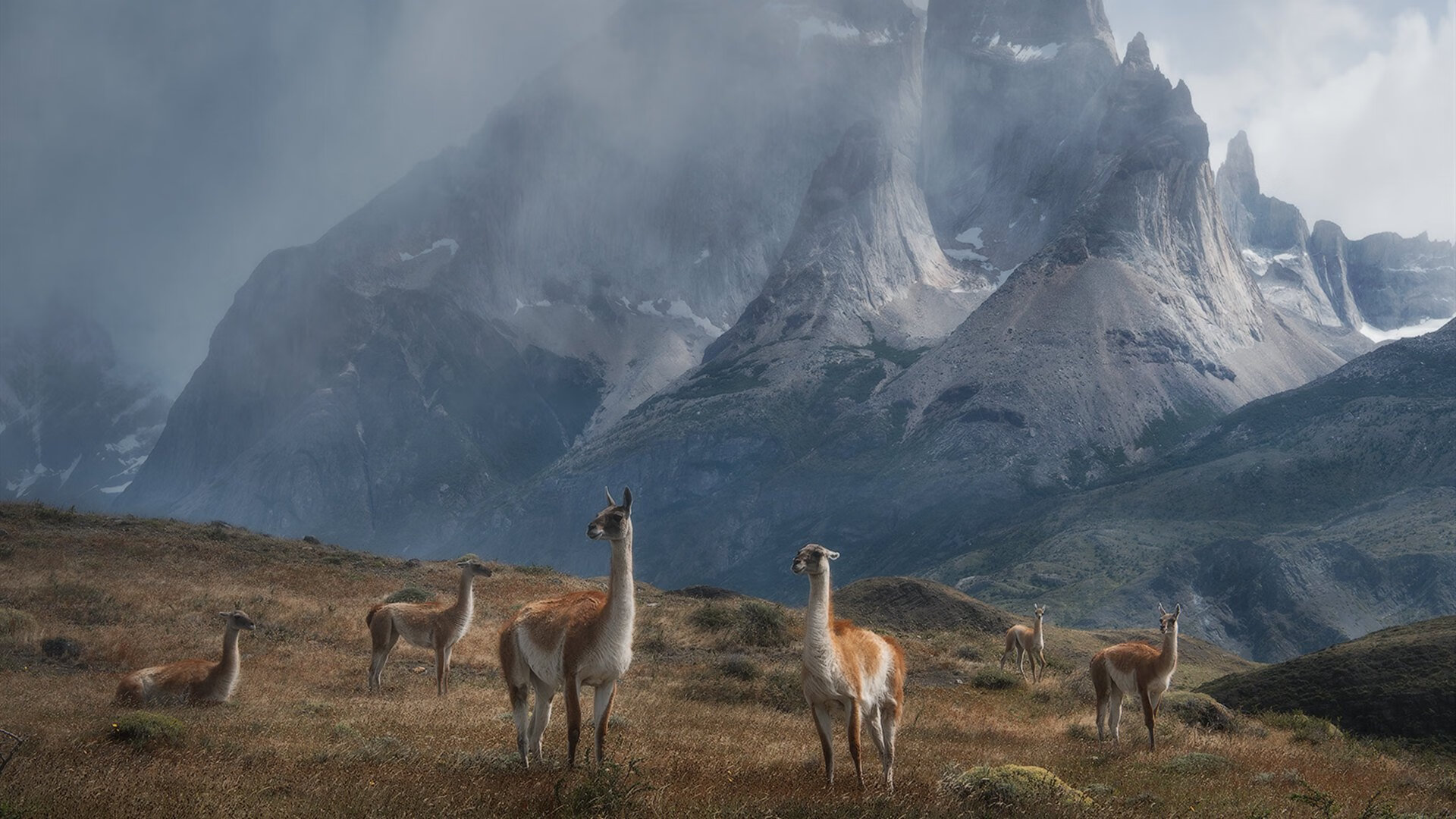 爱游戏正版-篮球赛事组织管理流程优化研究,篮球赛事组织管理流程优化研究报告