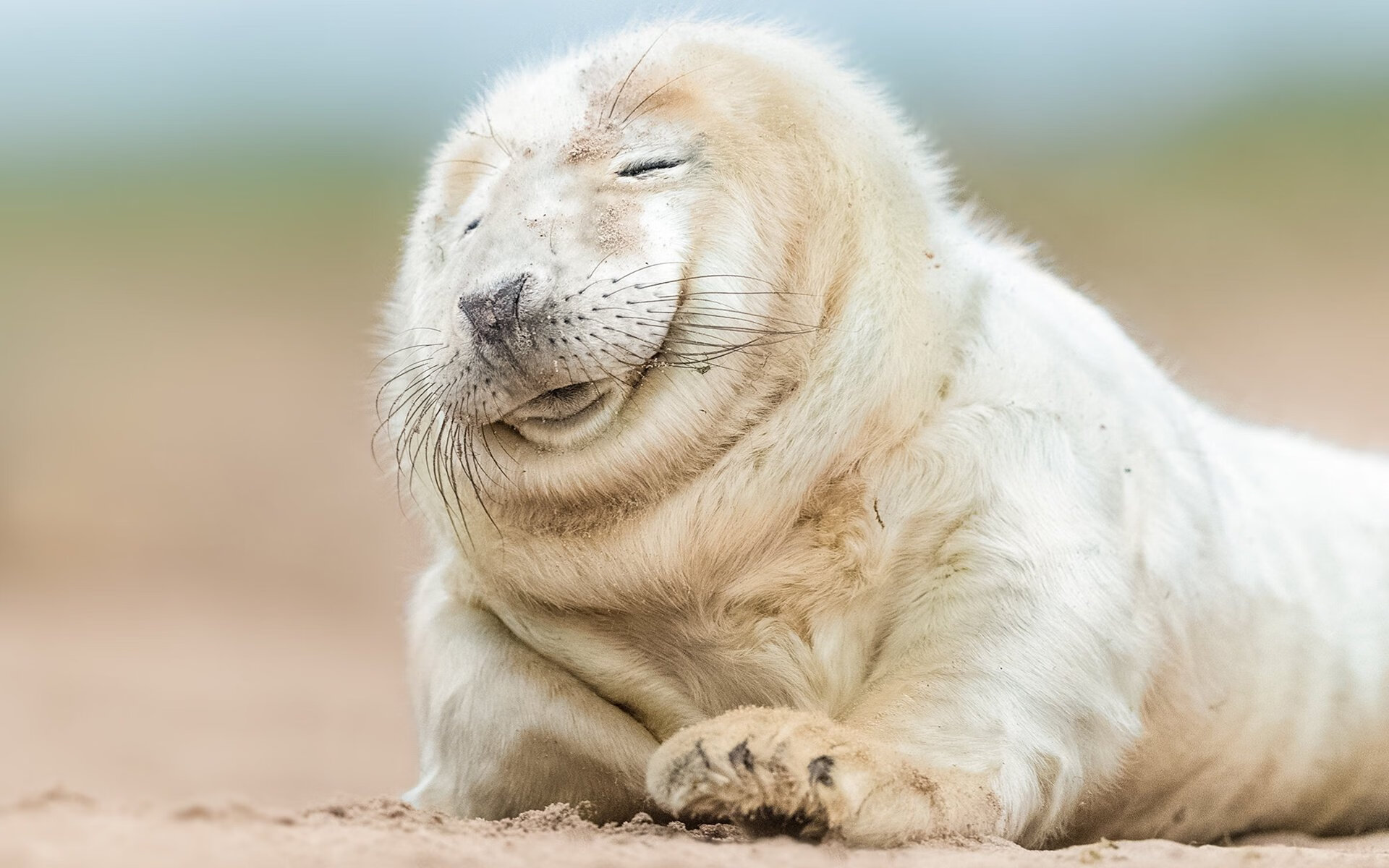 爱游戏入口-英超裁判语义分析提升VAR判罚效率的实证分析,英超裁判出牌统计