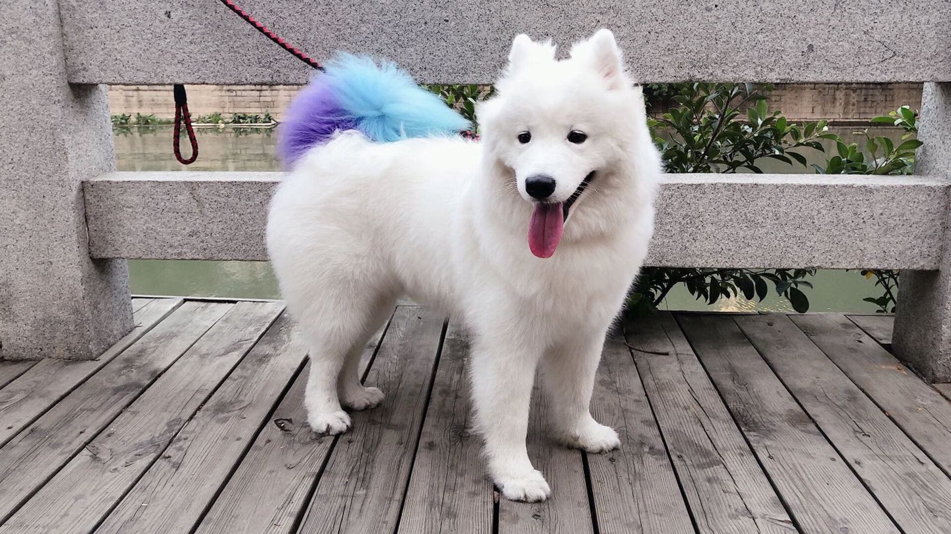 爱游戏多端接入-青训基金:欧洲豪门为未来投资的战略,青训是啥