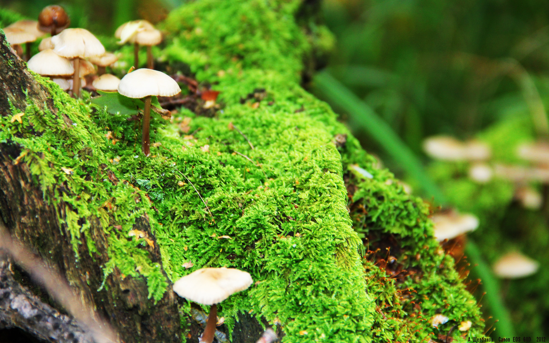 爱游戏入口-青年大爆发:未来足球领军人物全面展望,青年足球队